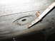 Inside Old Gas Tank 2.JPG